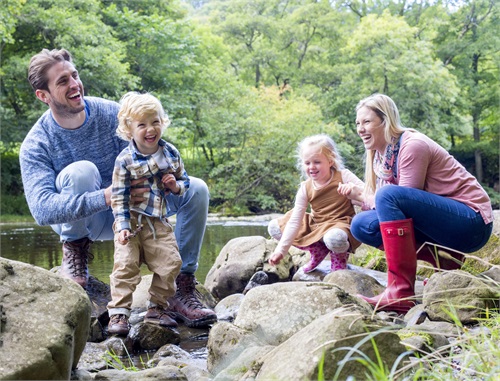 Estate Planning