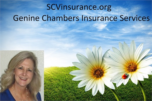Client Centered - Genine Chambers