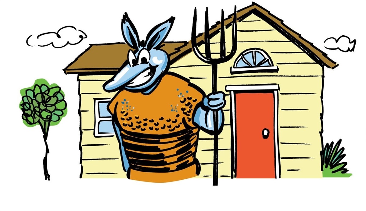 Okeechobee Home Insurance LOI Insurance