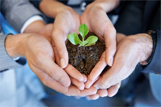 Your Financial Future