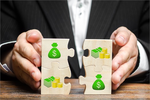 Cash Management:
