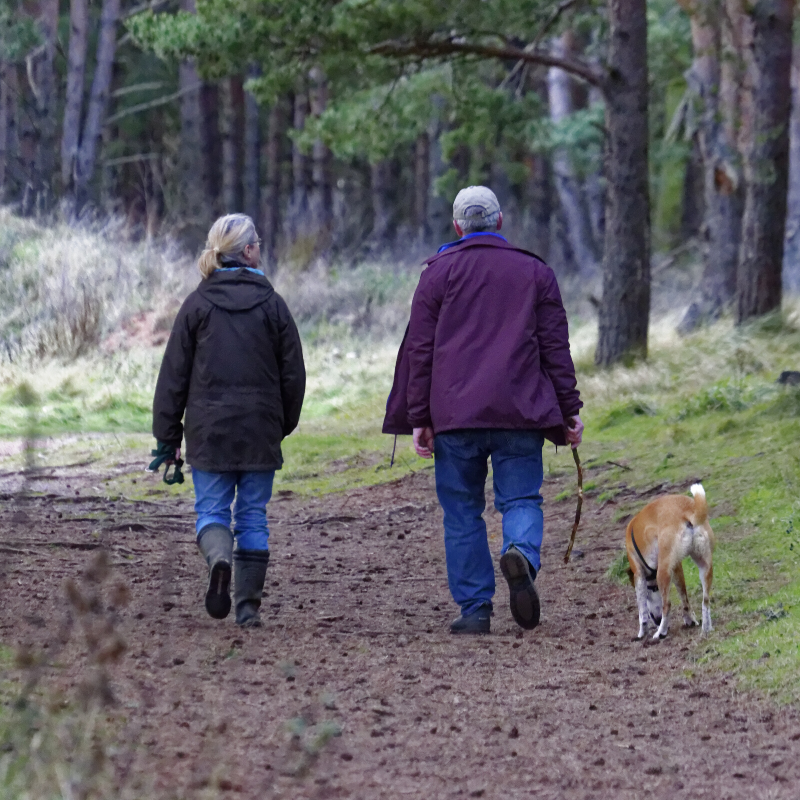 Did Congress Just Make Your Retirement More SECURE?