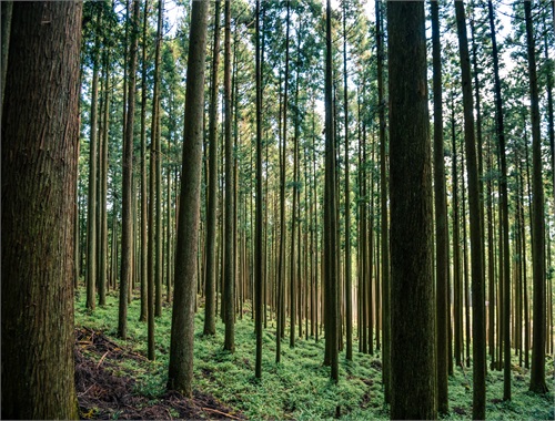Environmental