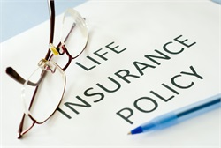 A Quick Reference Guide to Life Insurance