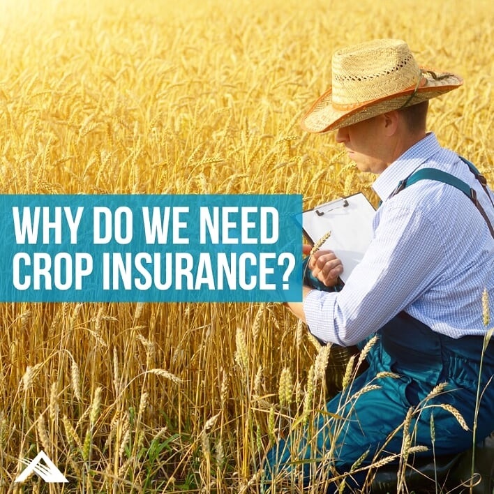 Why Do We Need Crop Insurance? Advantage Insurance Solutions
