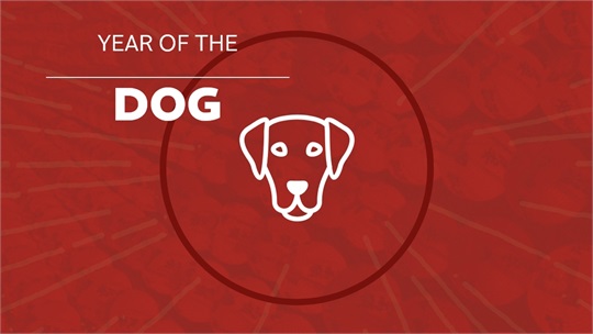 Happy Year of the Dog