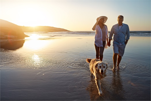 What is the Florida Retirement System?
