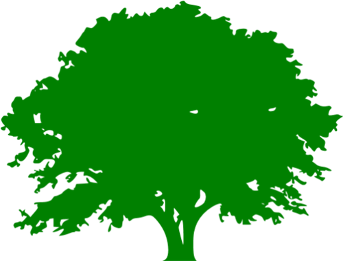 Environmental Impact