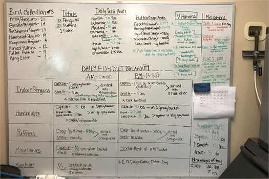 Client Centered