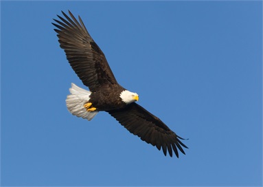 David M. Edwards & Associates Financial Services, Inc. Home