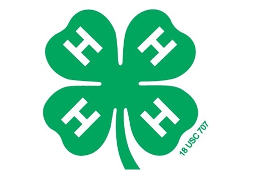 Nebraska 4-H