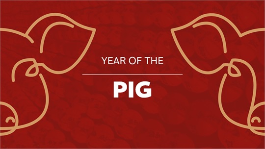 Happy Year of the Pig