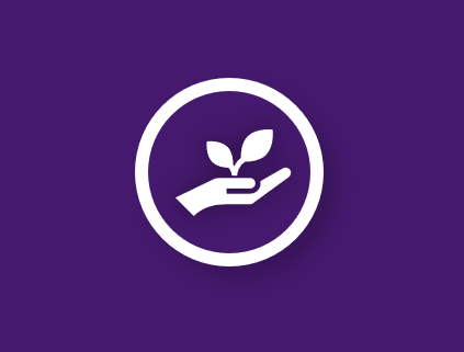 Establish