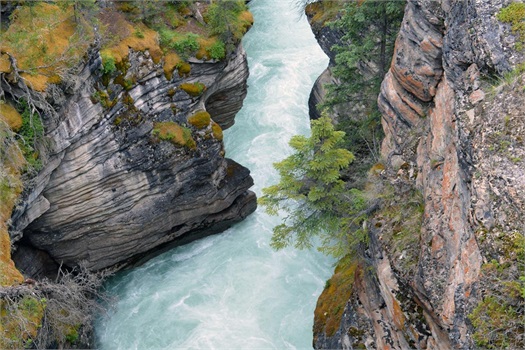 Make a plan to fund your future