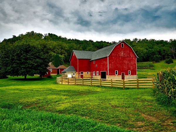 Financial Planning for a Family Farm by Megan Manzi
