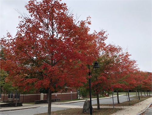 Financial Confidence