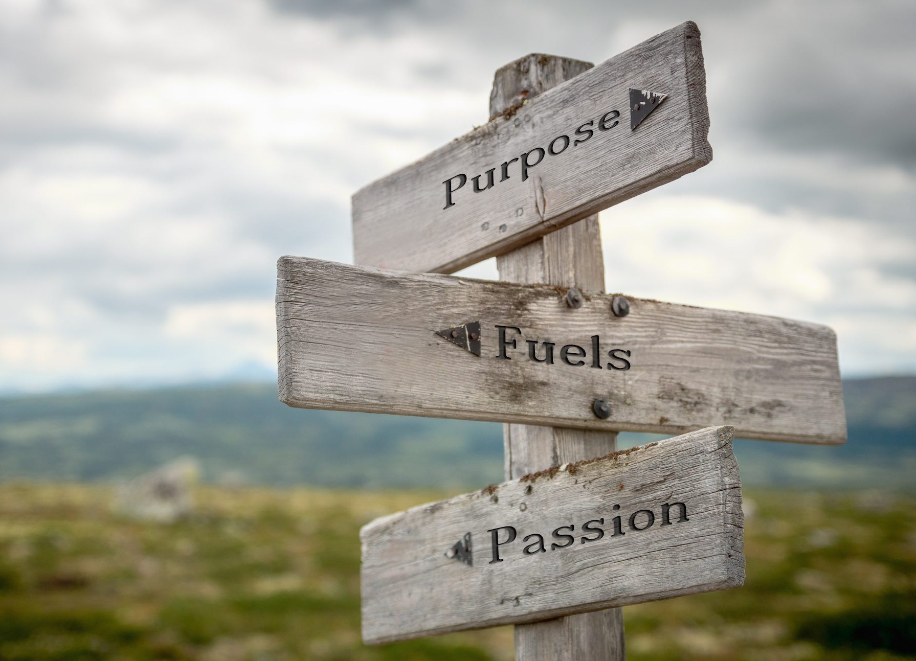 We’re Fueled By Passion And Focused On Fit