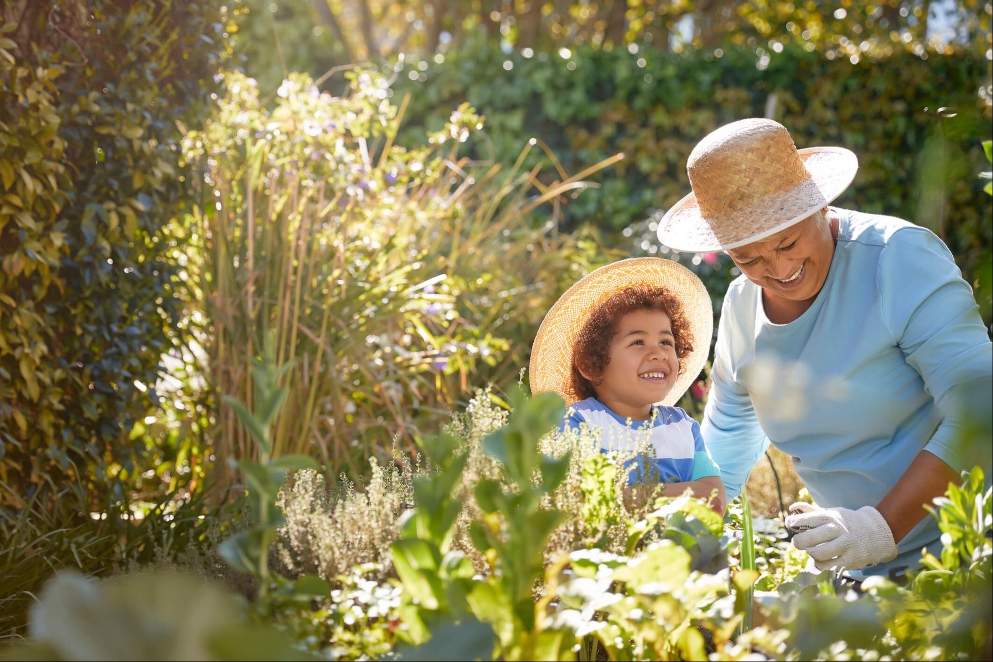 Secure Your Legacy with Expert Trust Services