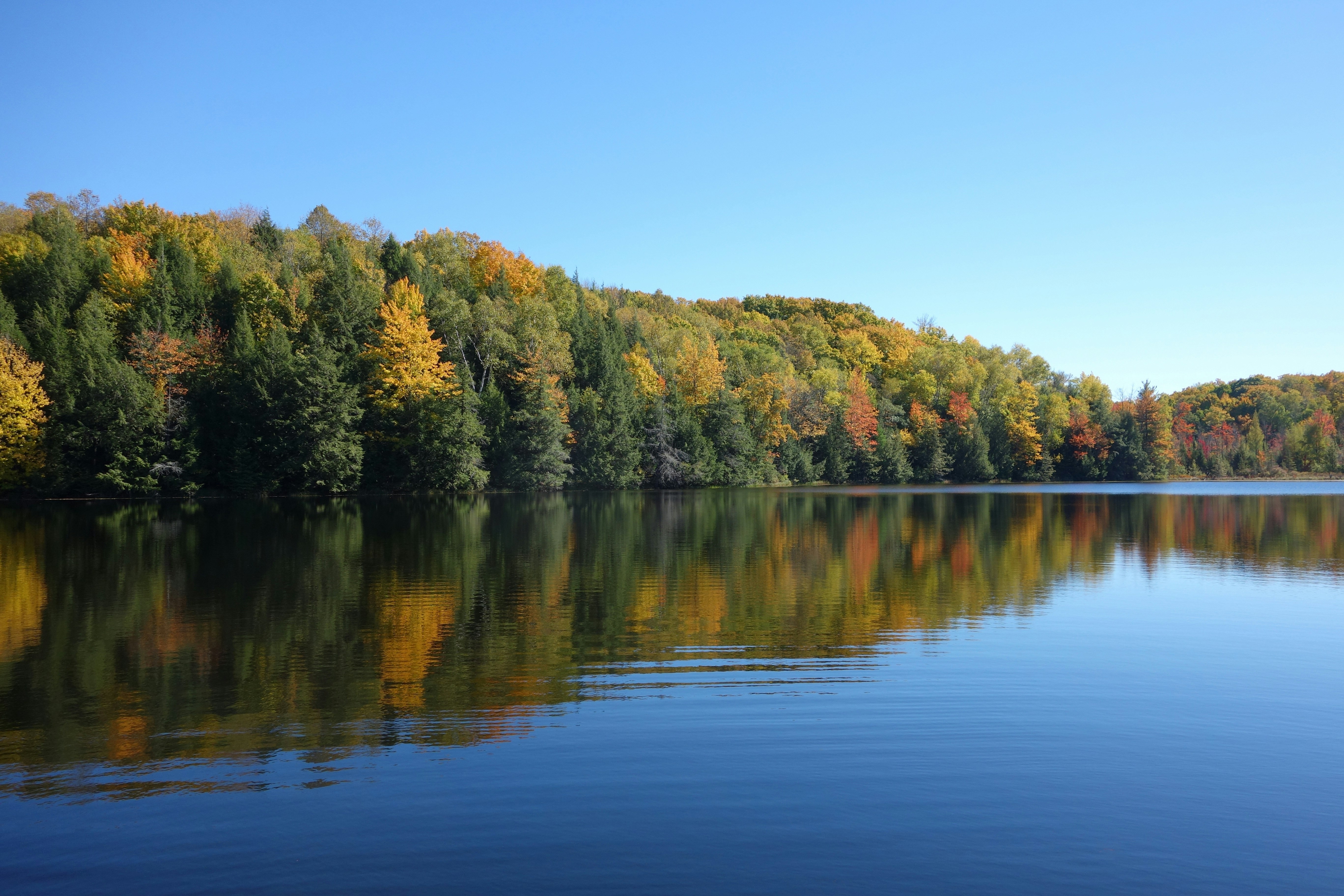 Finger Lakes Financial Group