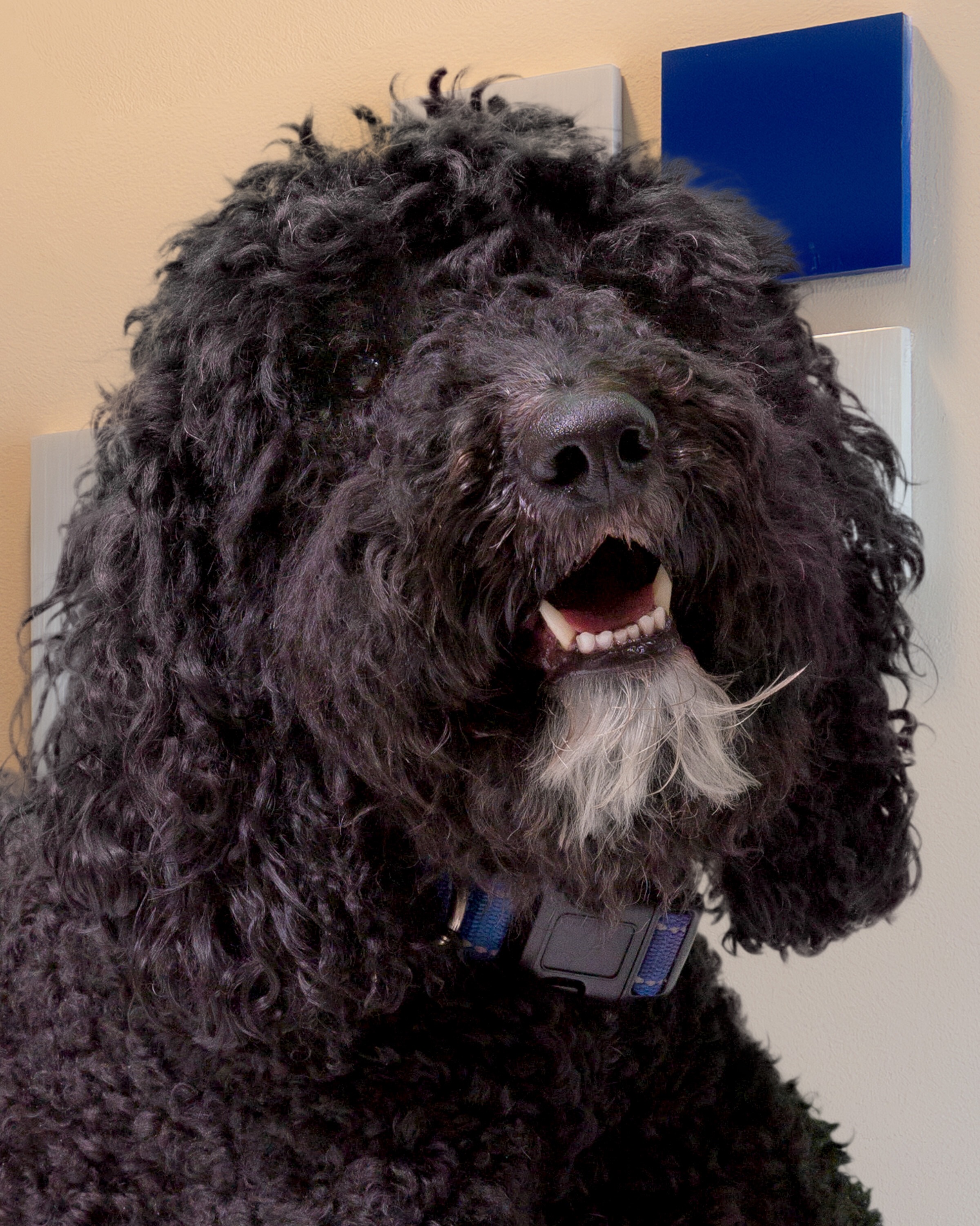 Bursley Hopwood, Head of Security