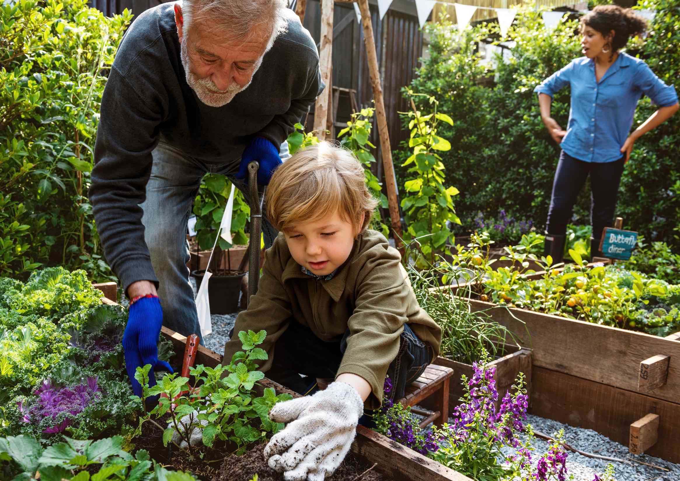 We make your finances understandable.