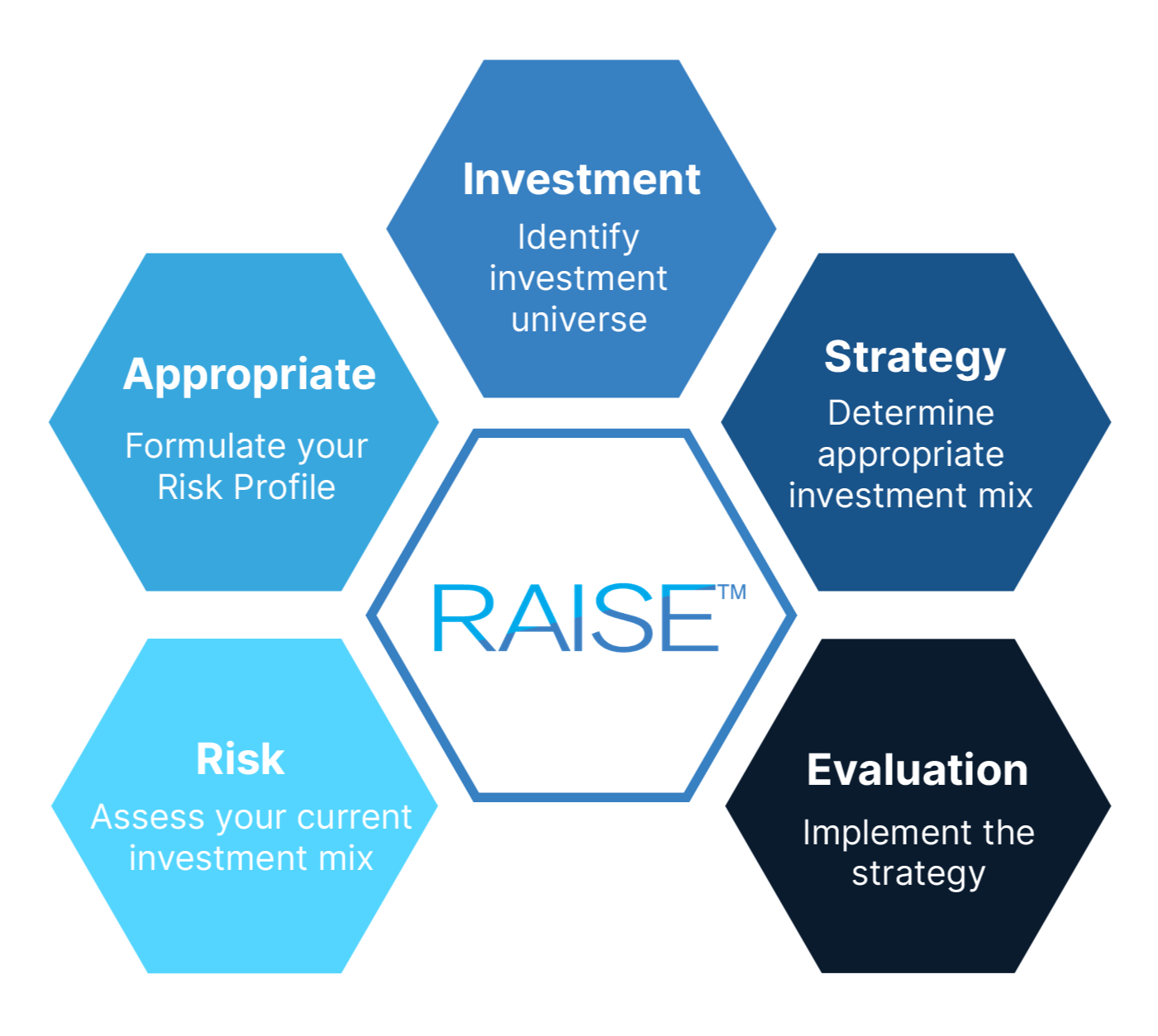 RAISE<sup>™</sup> Investment Approach