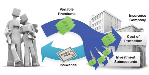 Variable Universal Life Insurance