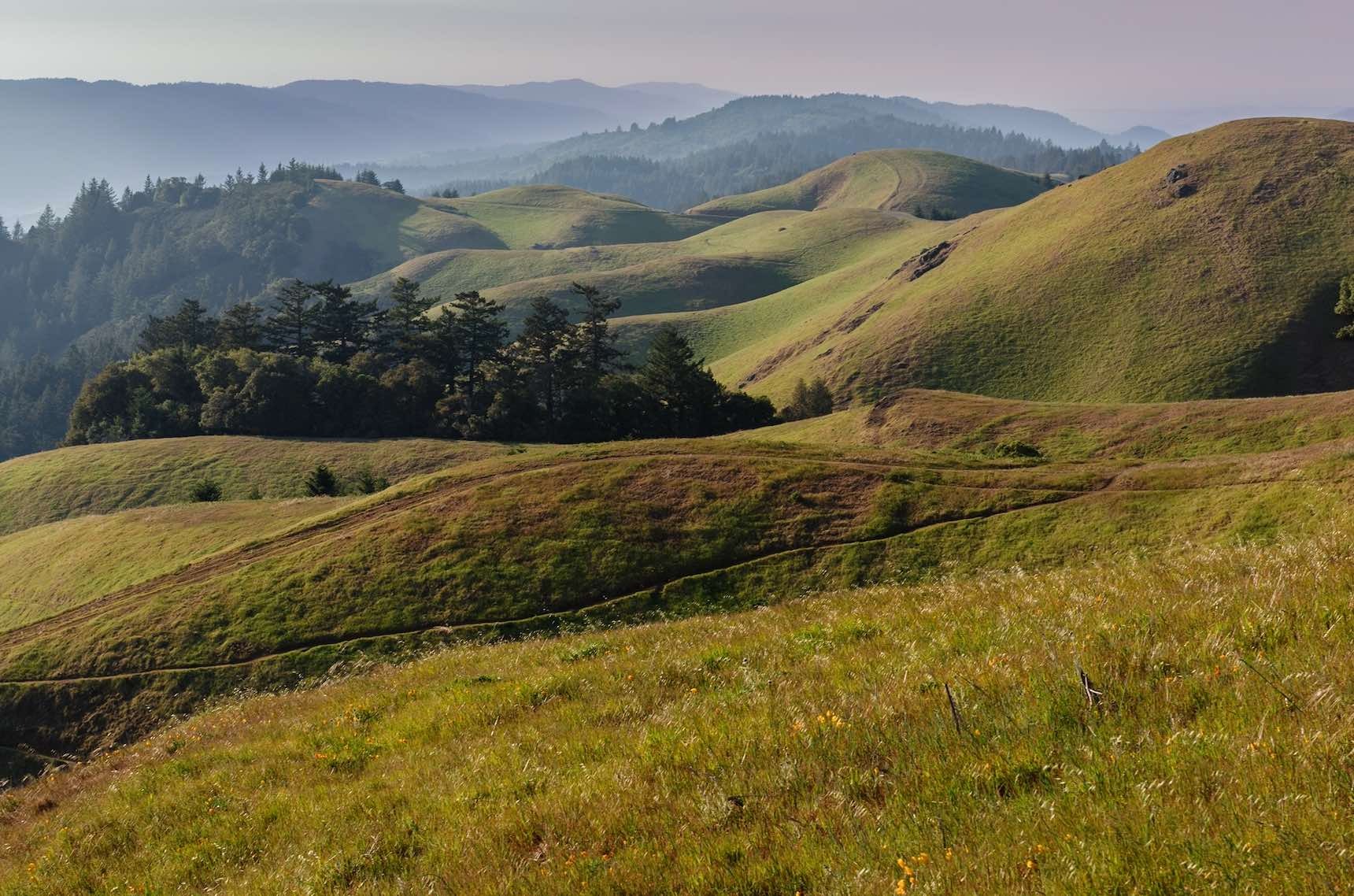 Guiding Clients on a Confident Financial Path