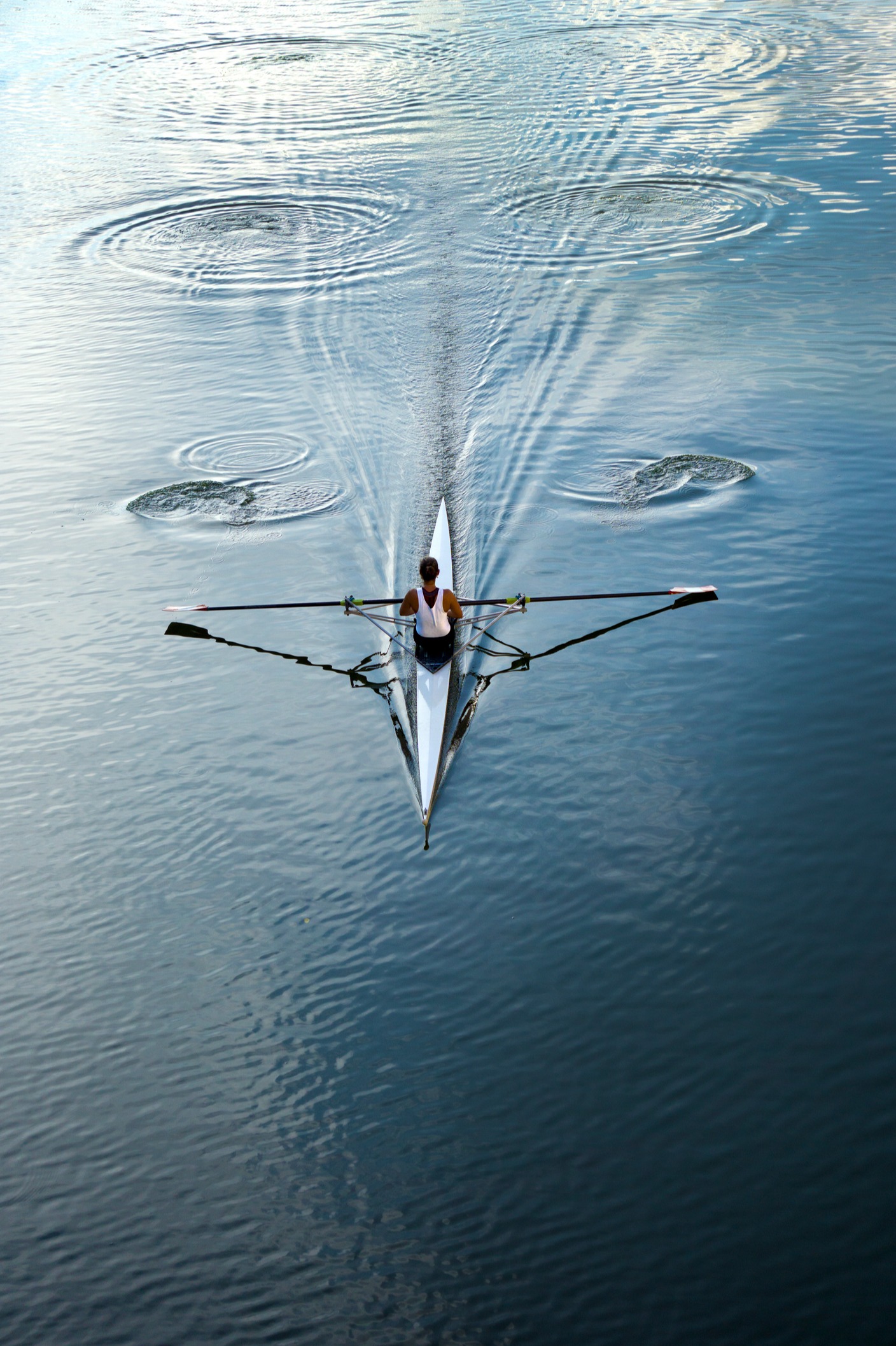 A <strong>Disciplined Approach</strong> To Wealth