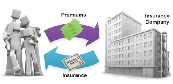Term Life Insurance