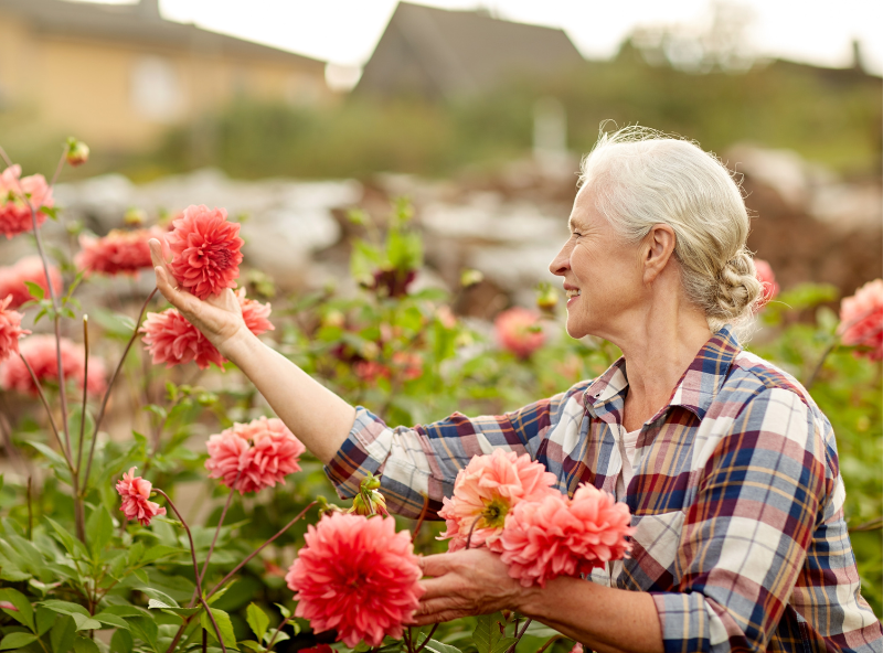 Retirement Planning