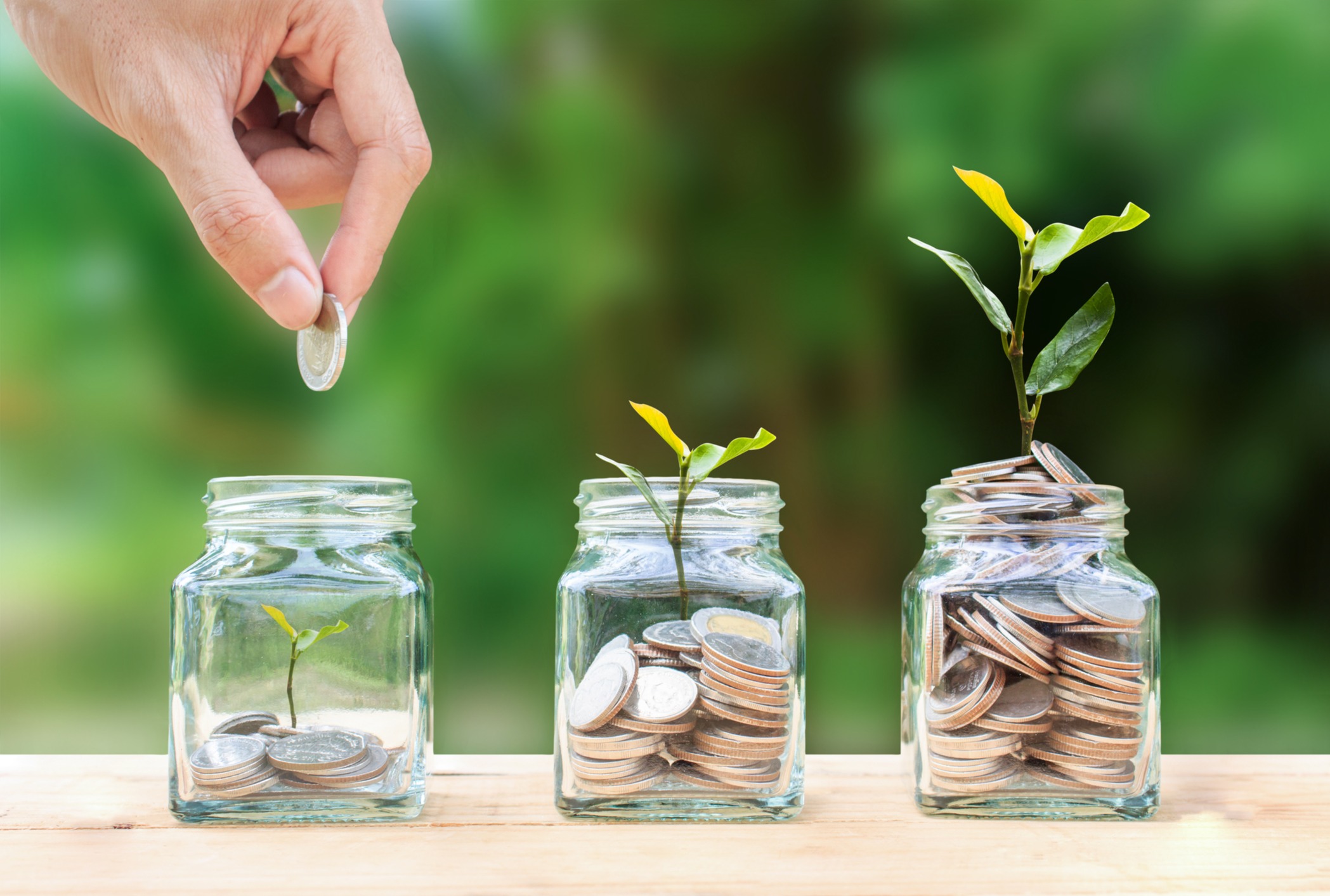 Wealth Management