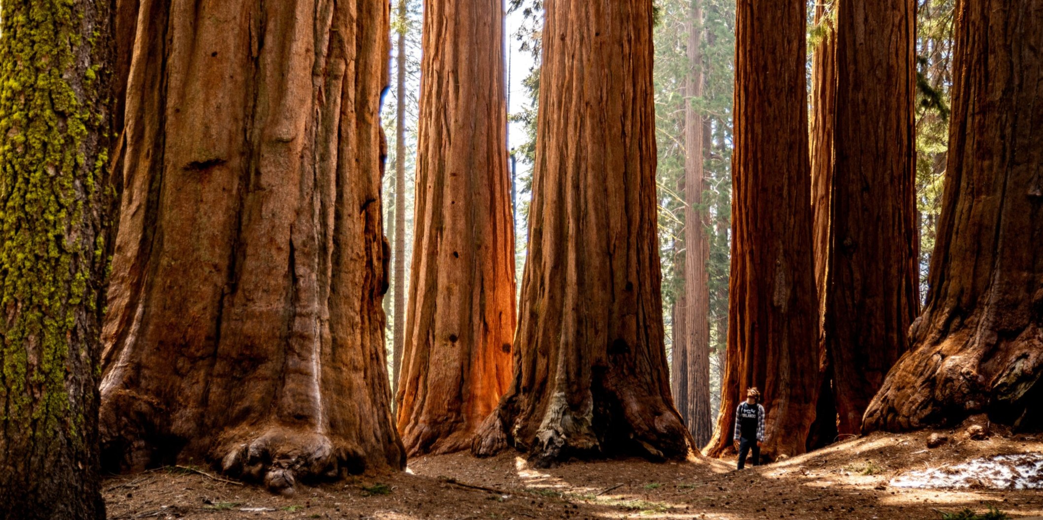 WE'RE DEDICATED TO BUILDING A STRONG FOUNDATION