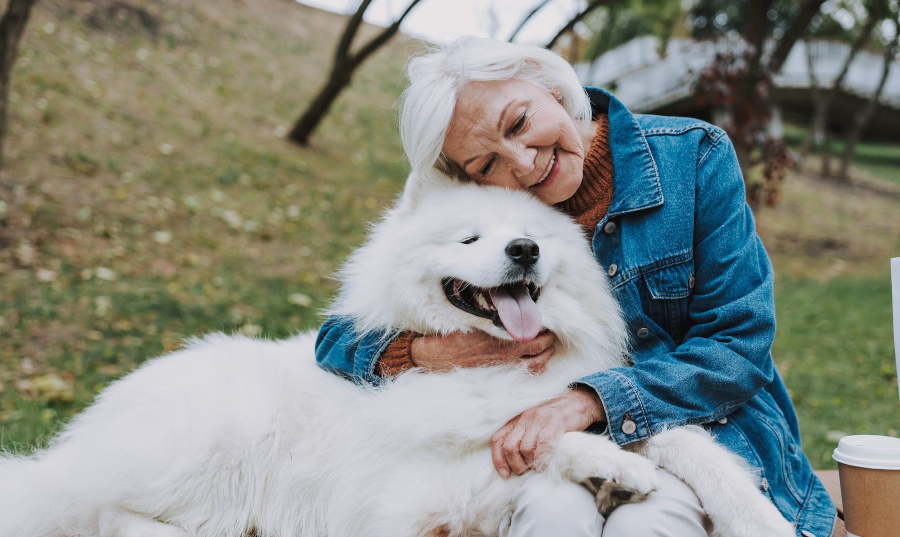 Where All Your Wealth Questions Connect