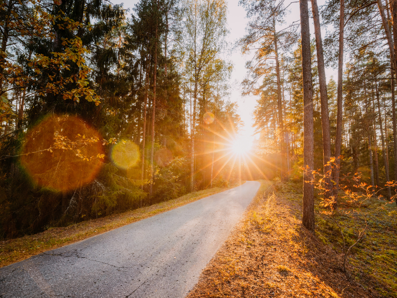 Starting Your Financial Journey