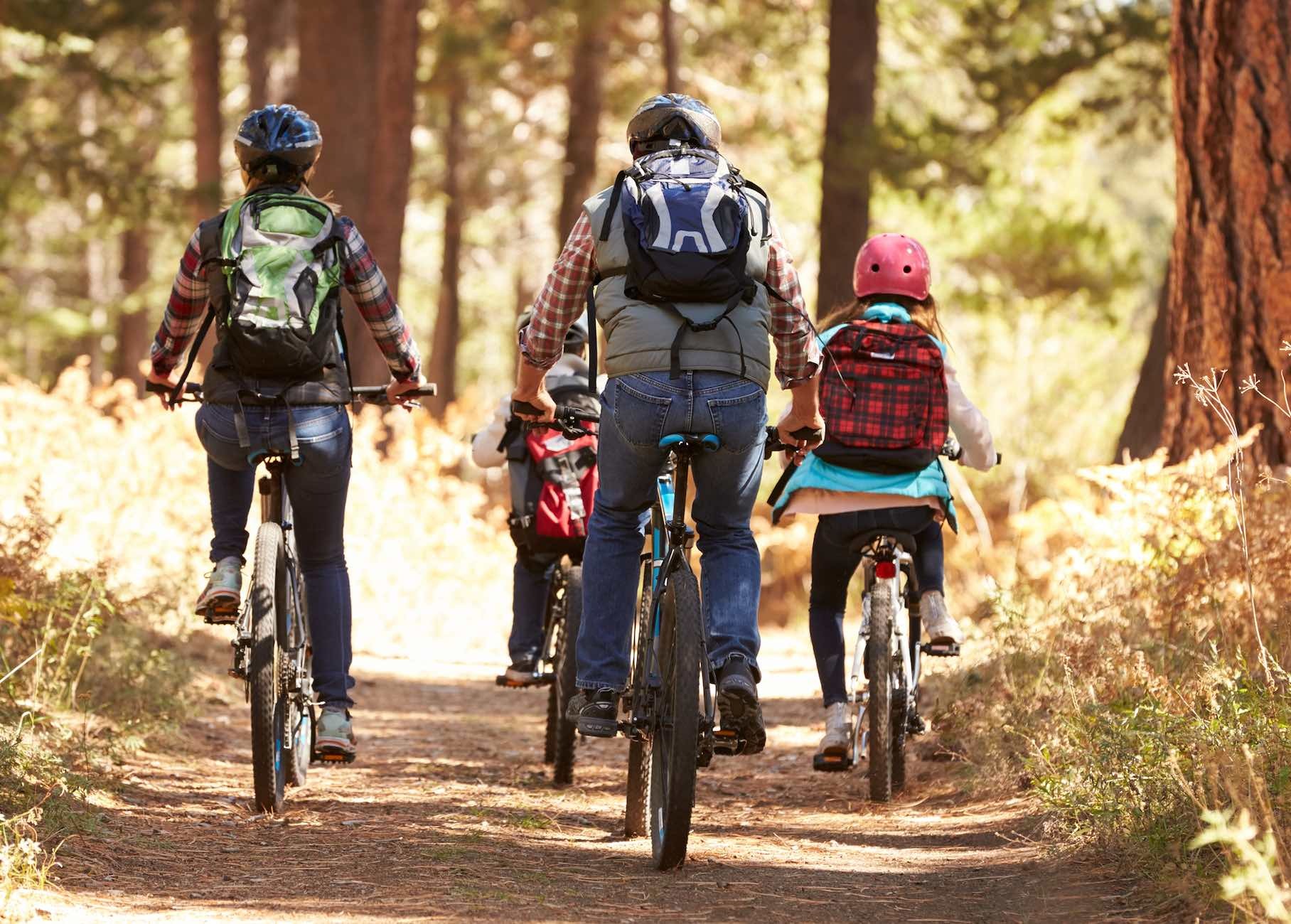 Adaptable Strategies for Your Journey 