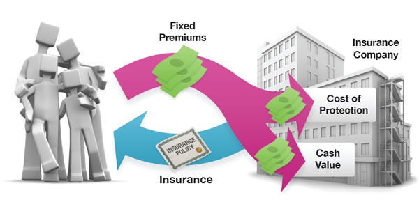 Whole Life Insurance