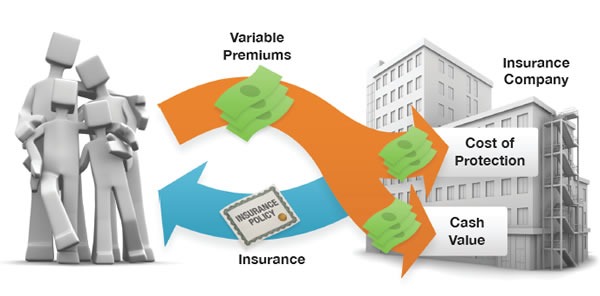 Universal Life Insurance