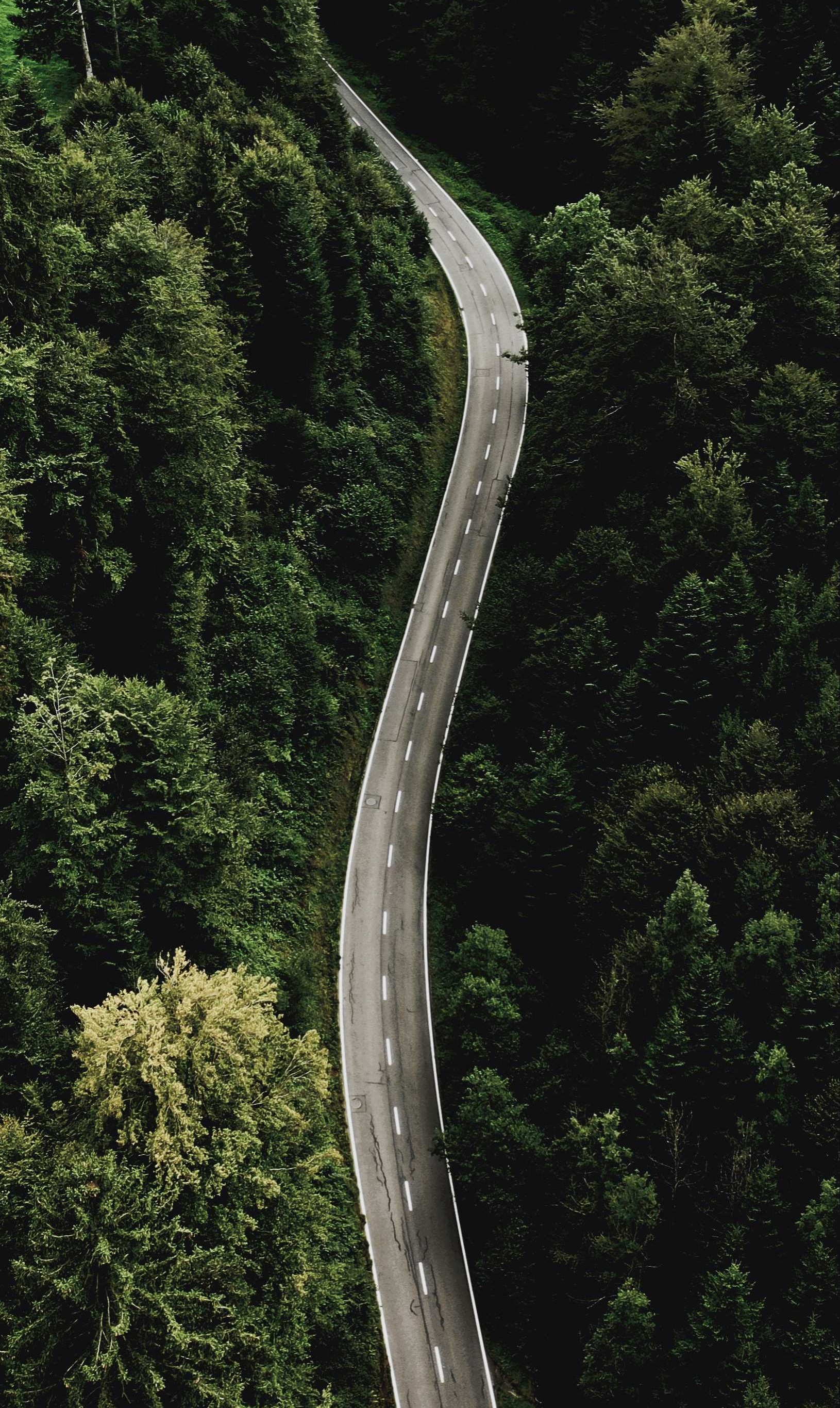 Client Centered