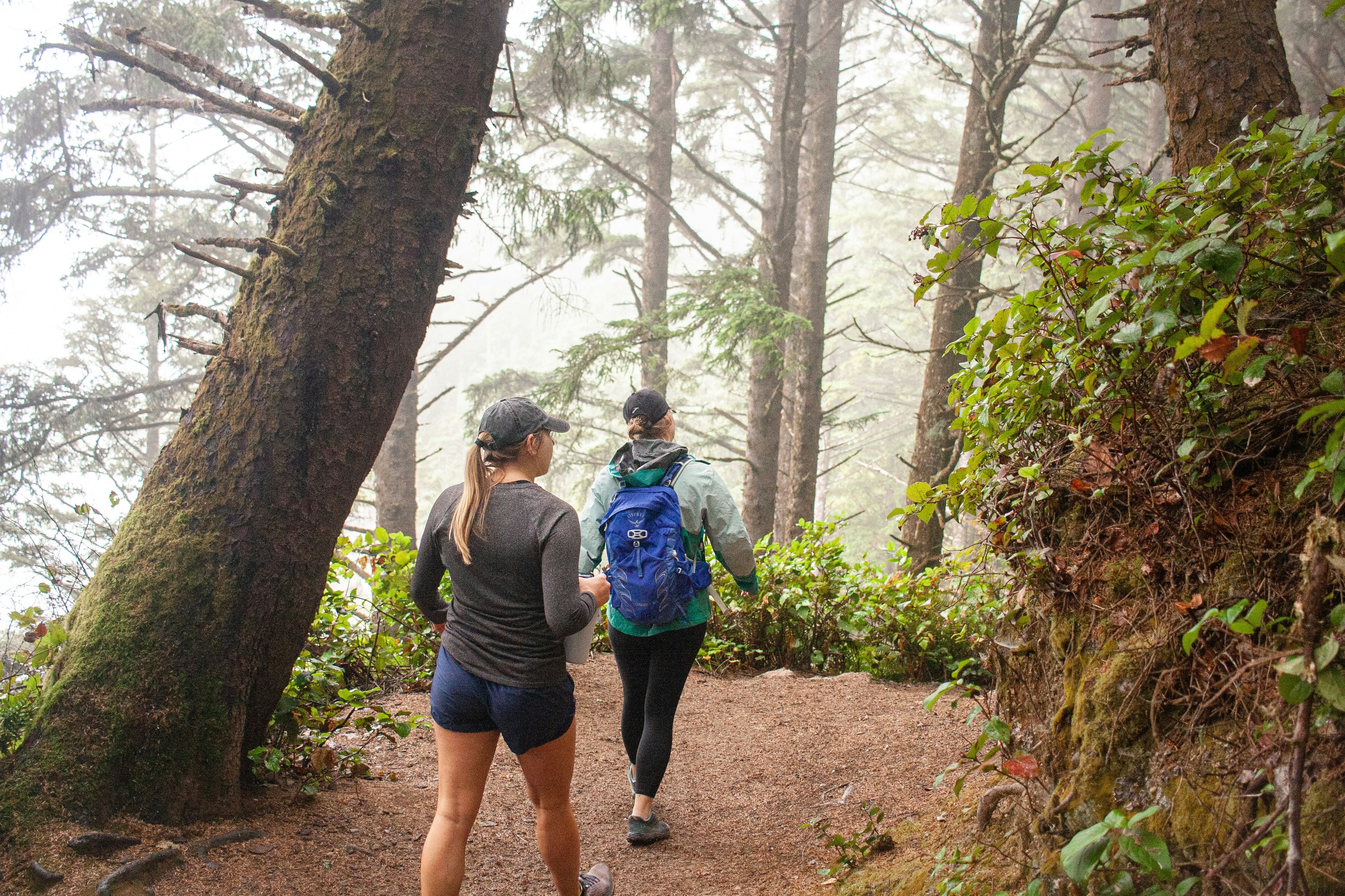 Could Your Money Work Harder For You?