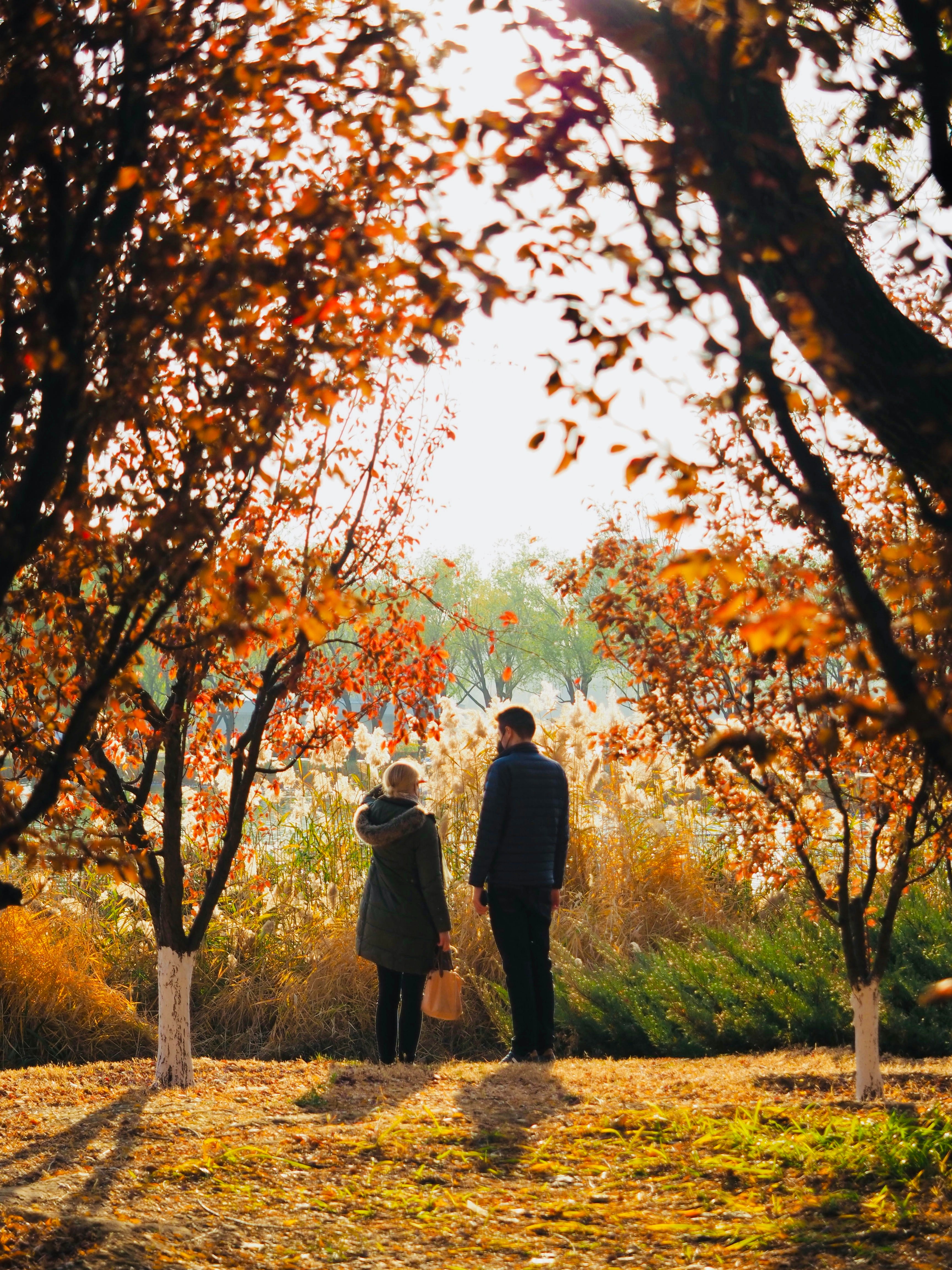 Strategic Wealth Planning for Life's Next Chapter