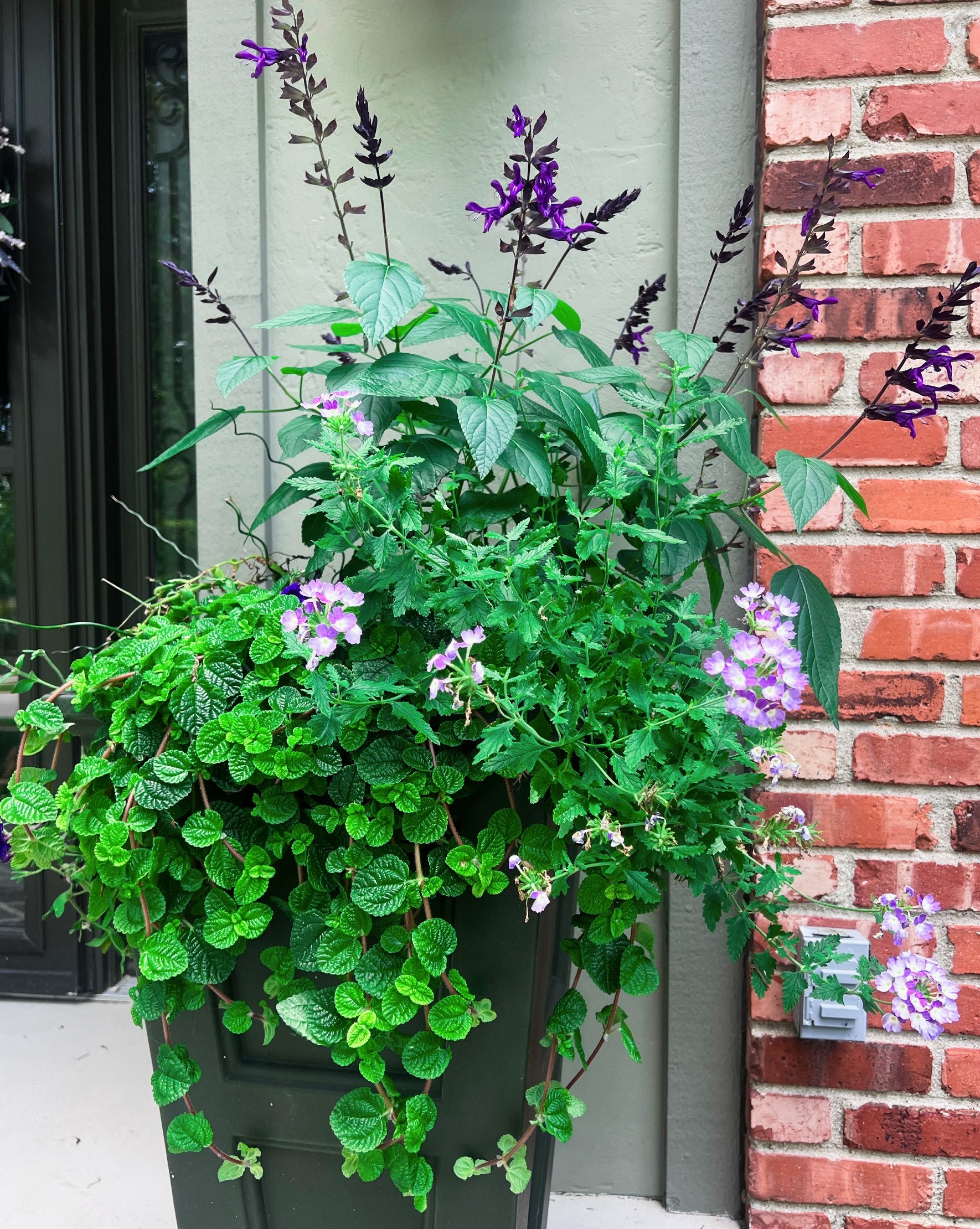 Winner of Round #2Lindsay!<br/>Congratulations!!<br data-mce-bogus="1">Thanks to everyone for participating!