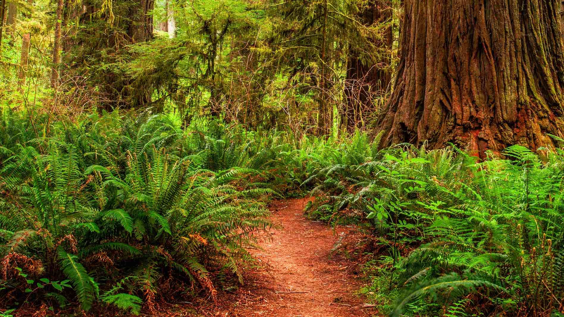 Mapping Your Path to the Life and Retirement You Desire