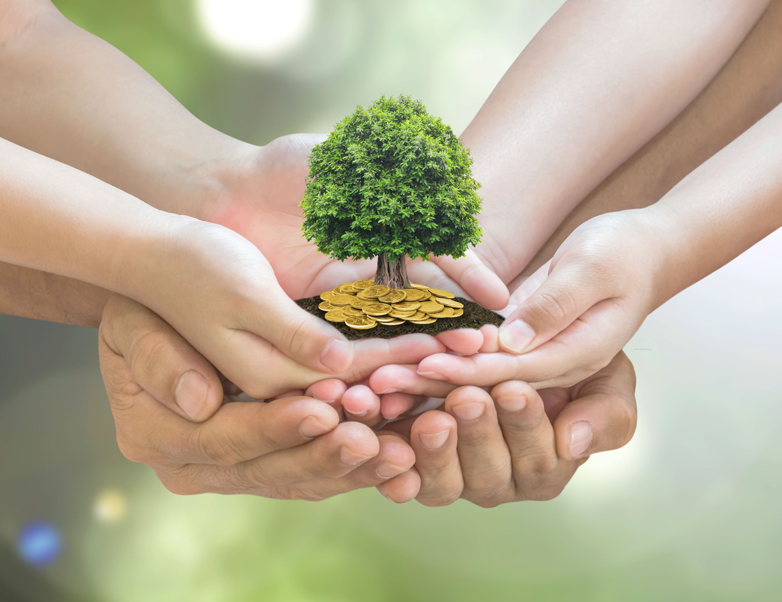 Through Financial Independence