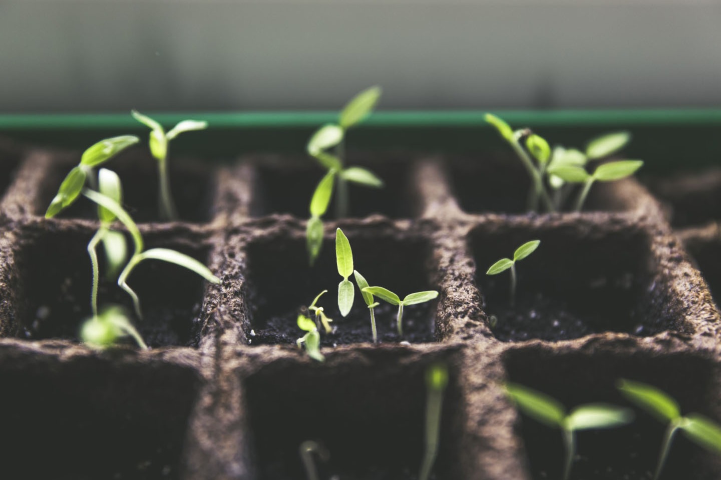 Investment Planning