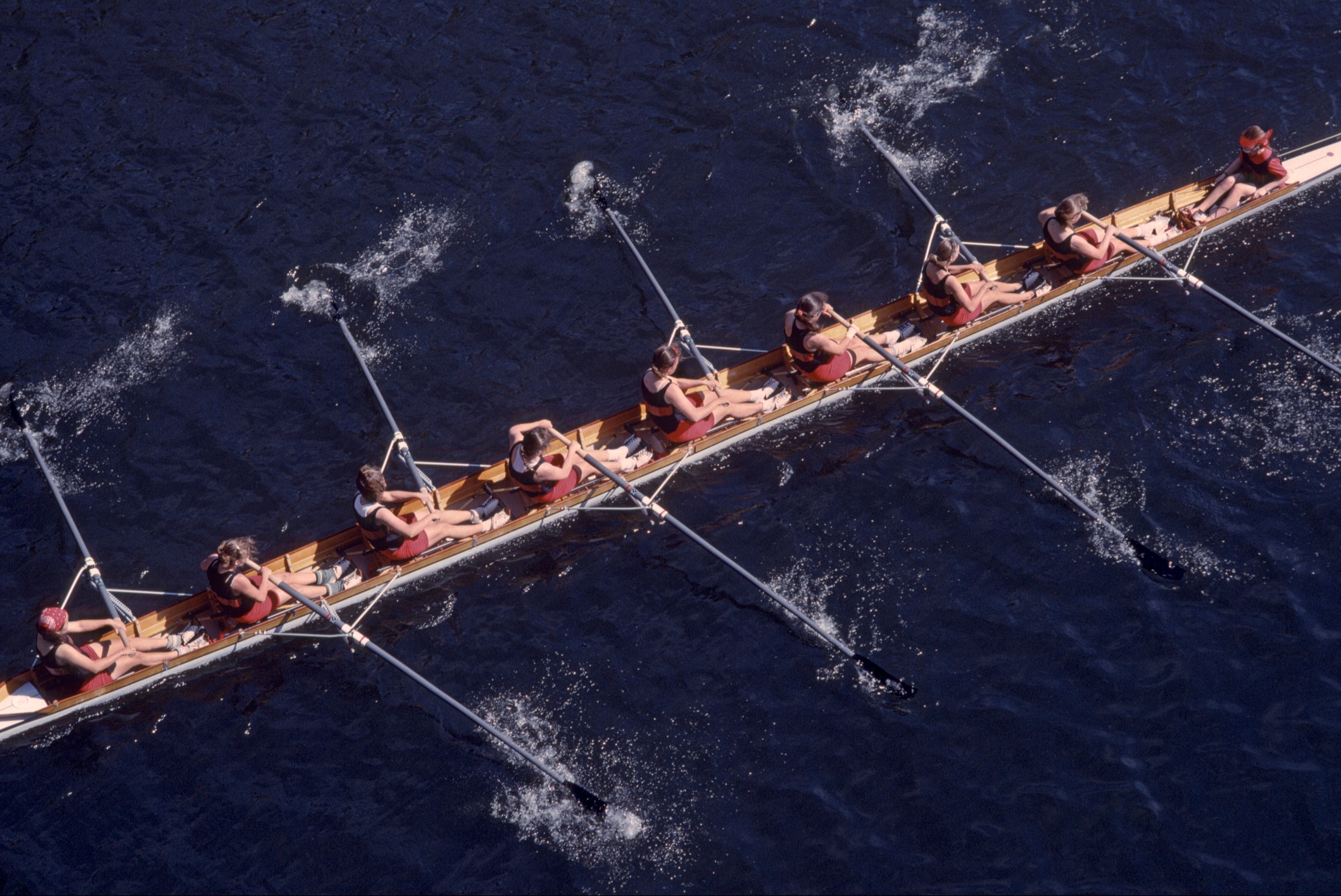 A Team Committed to Your Success