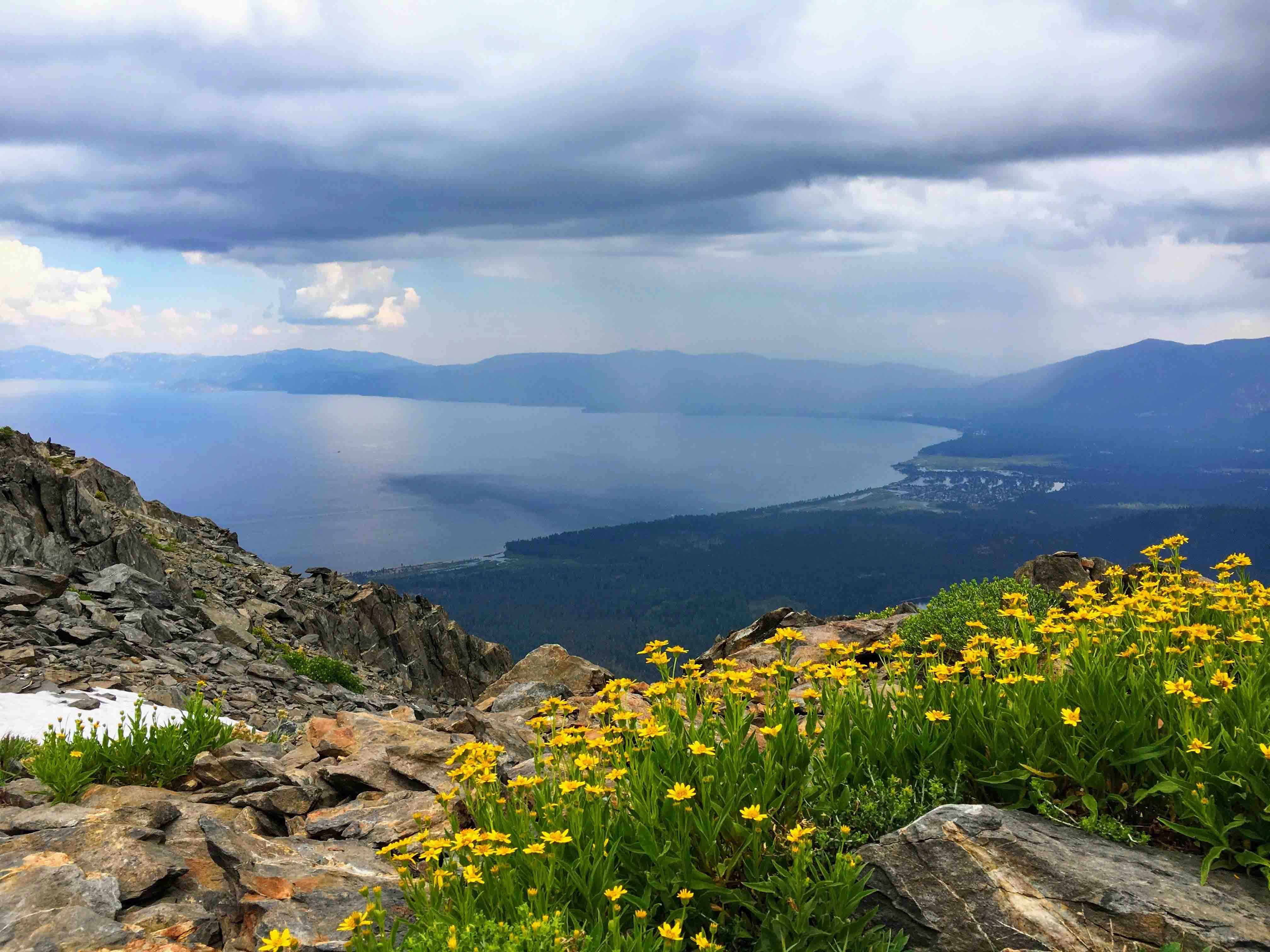 Your trust. Our expertise.