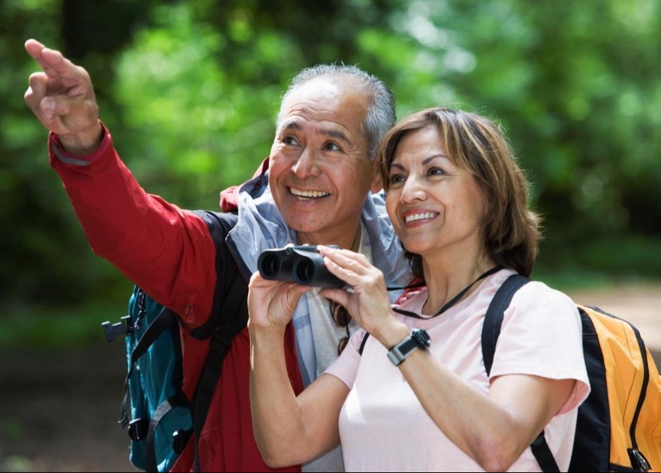 Retirement Planning