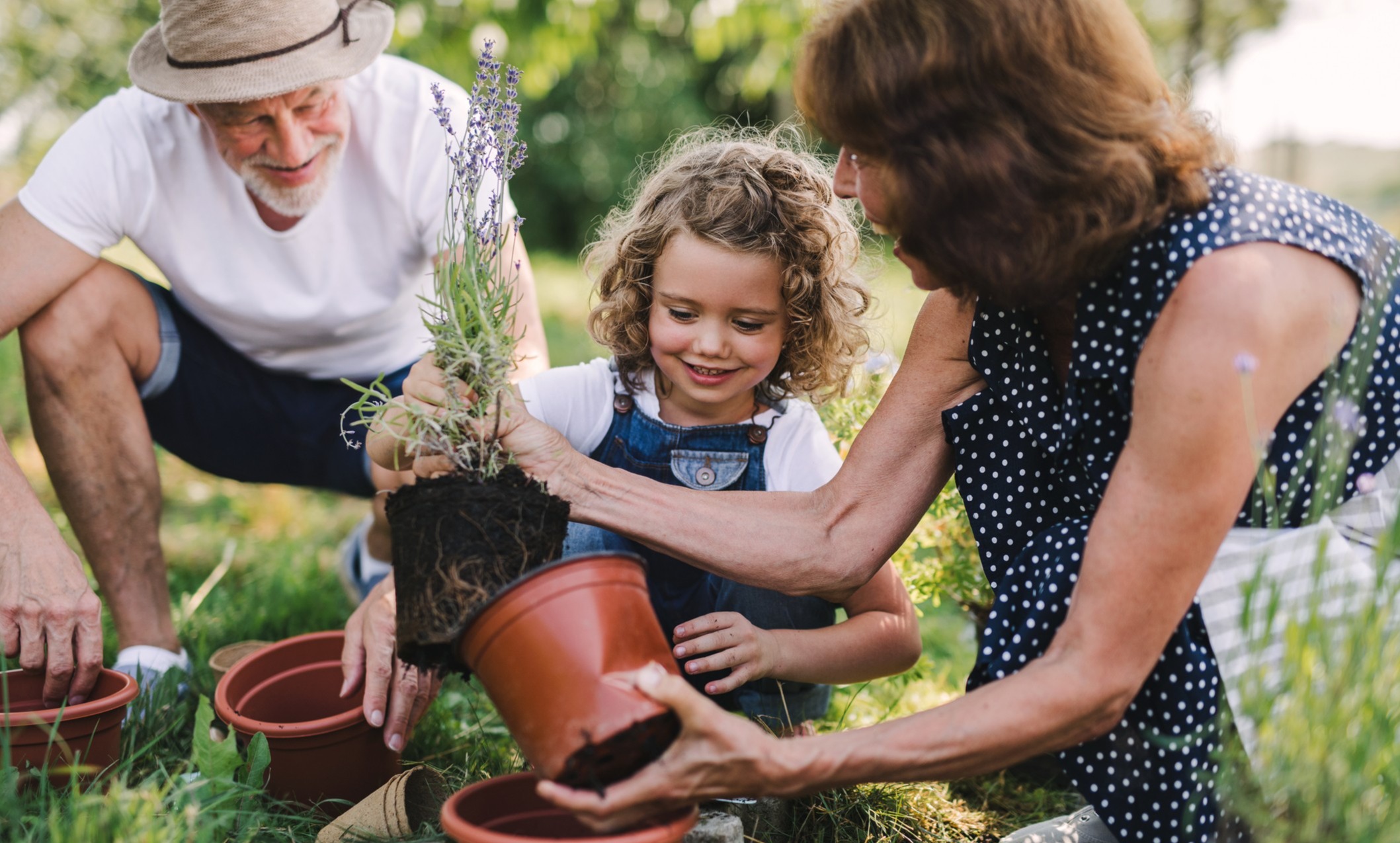 Making Sense of Your Financial Life