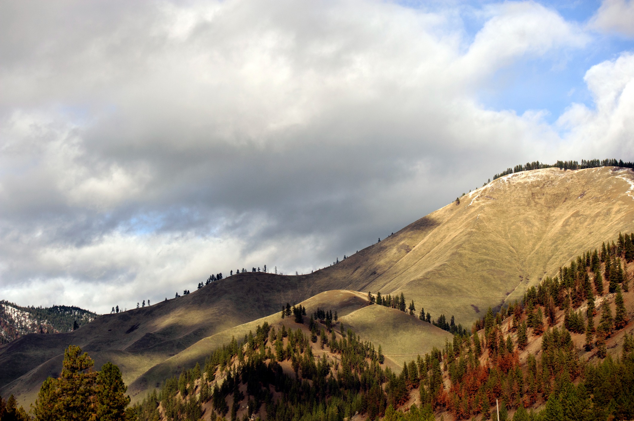 Our Montana Heritage